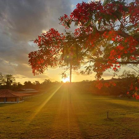 Sertao Veredas Hotel Fazenda Paraopeba Buitenkant foto