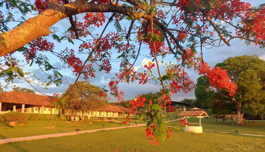 Sertao Veredas Hotel Fazenda Paraopeba Buitenkant foto